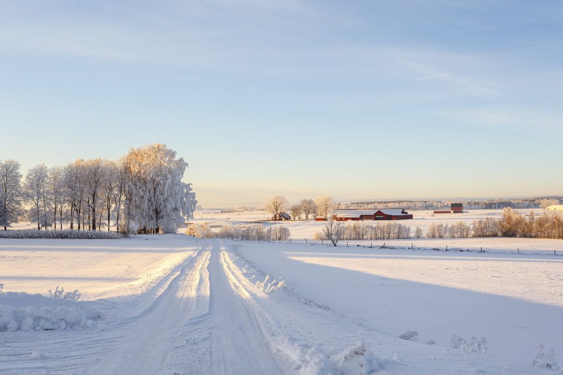 photo of snow on land in farm country