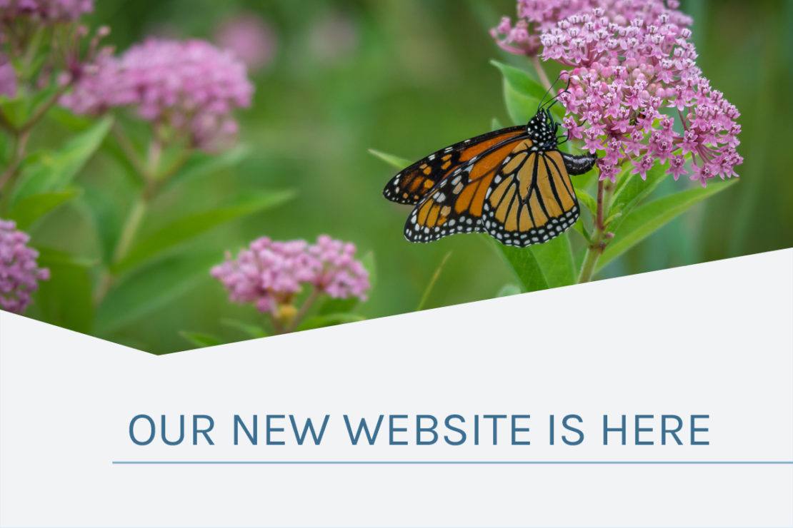 graphic promoting new website