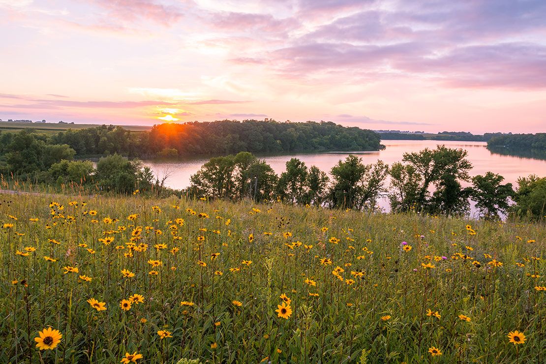 photo of minnesota lake, trees and prairie