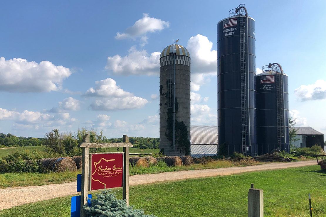 Red sign that reads honken farms in lower left hand side of the image. A gravel driveway, green grass and three farm siloes are pictured on a sunny day