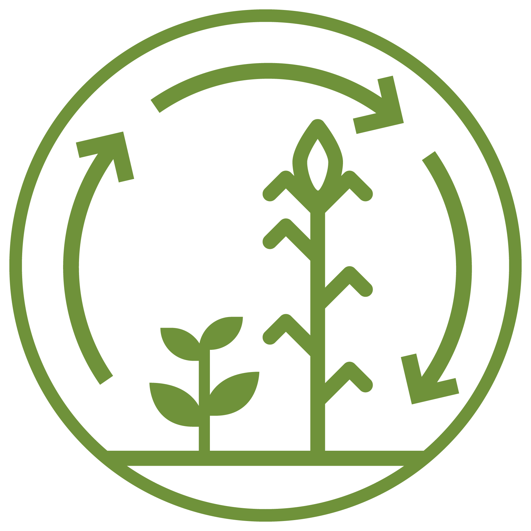 green icon with white background depicting soy bean plant and corn stalk with three arrows pointing clockwise