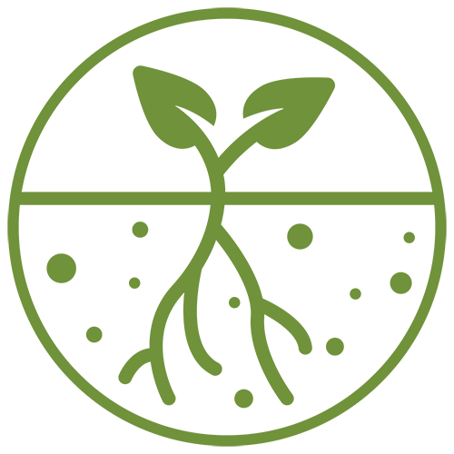 green icon with white background depicting soybean plant in profile with roots and nutrients visible under the soil