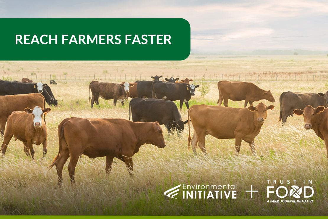 A herd of cattle grazes in an open field with a green banner above that reads